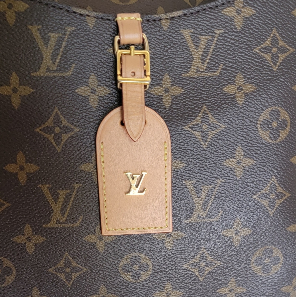 100% Louis Vuitton Odeon MM - Picture 9 of 14